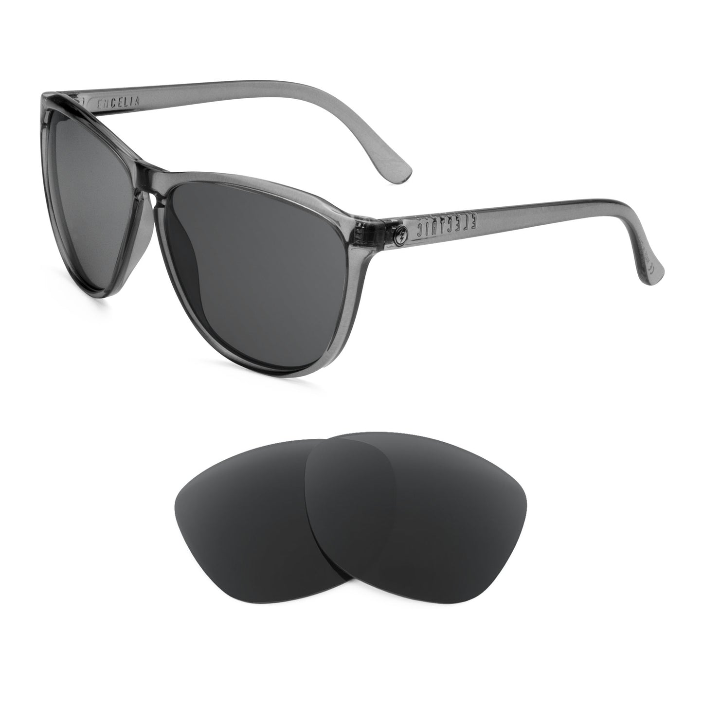 Electric Encelia sunglasses with replacement lenses