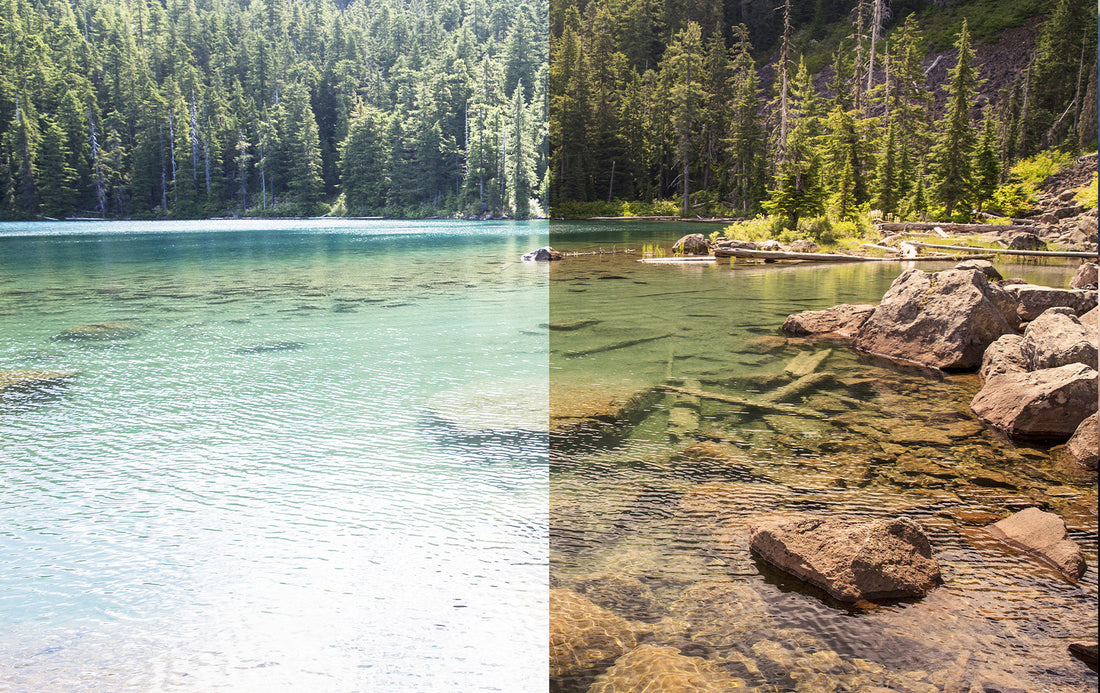 Polarized vs Non-Polarized Sunglasses