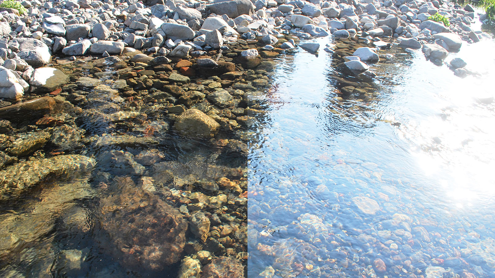 View with and without polarized lenses