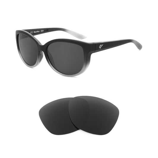 Revant replacement lenses compatible with Fin Nor Tillies Bank