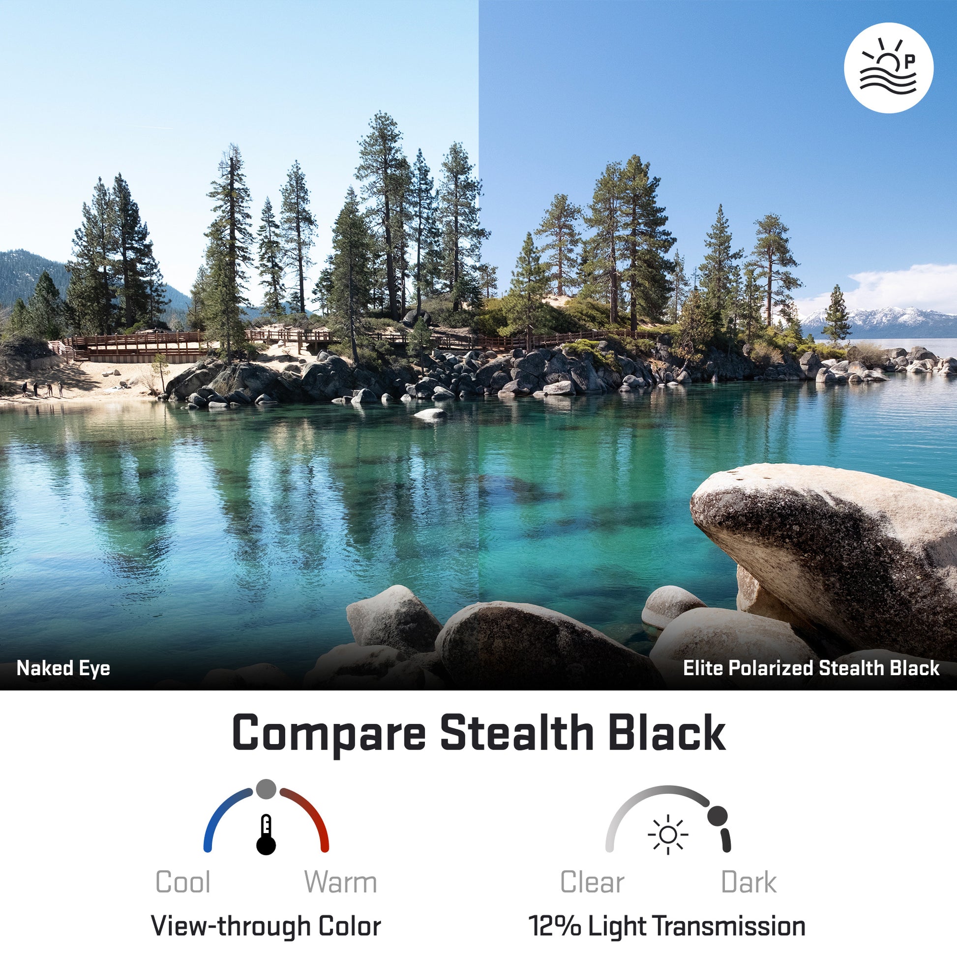 view looking through elite polarized stealth black replacement lenses