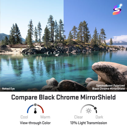 view looking through spectraboost polarized black chrome replacement lenses