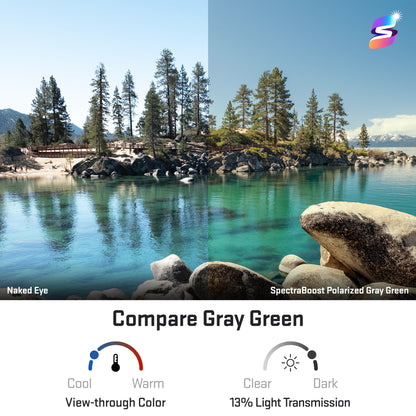 view looking through spectraboost polarized gray green replacement lenses
