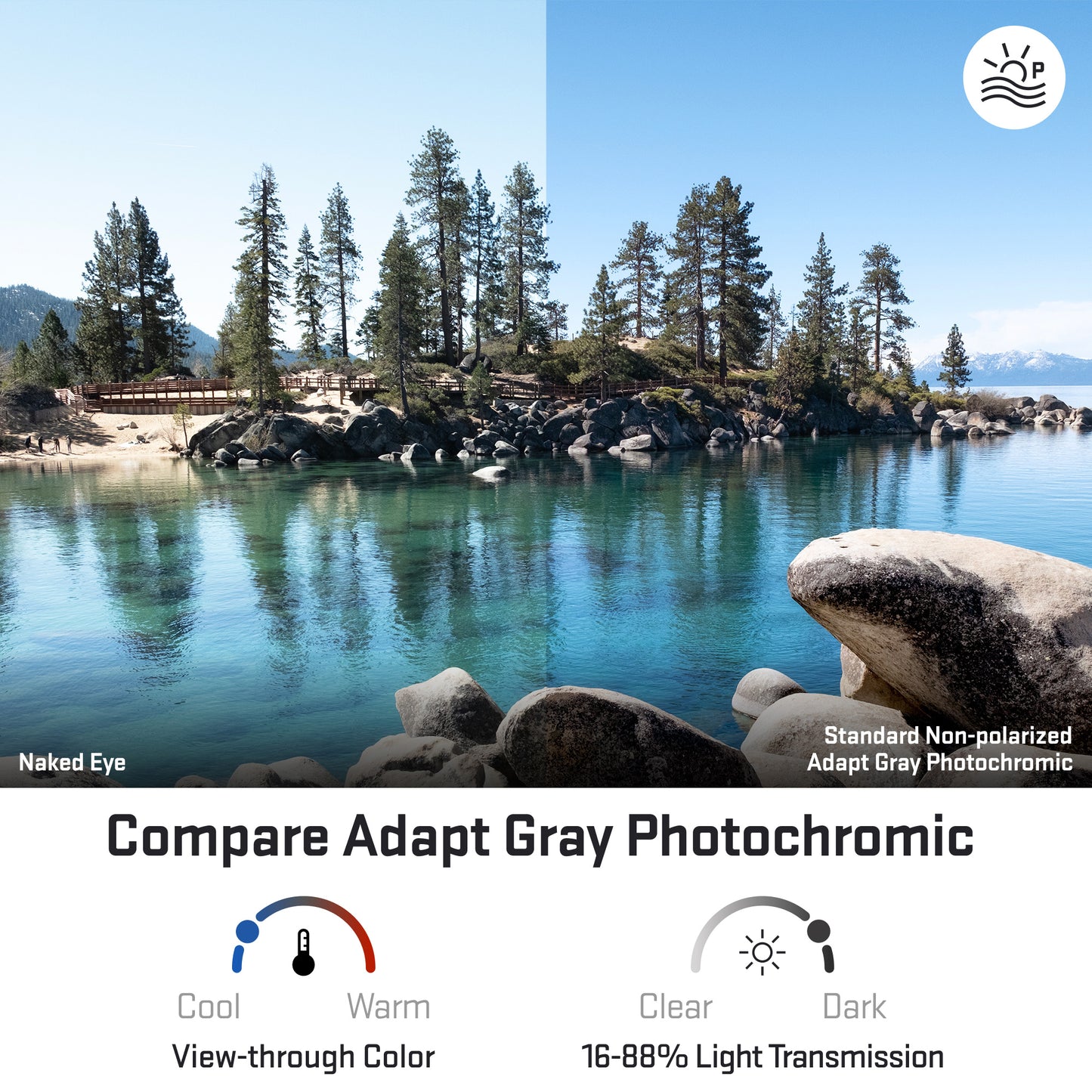 view looking through standard adapt gray photochromic replacement lenses