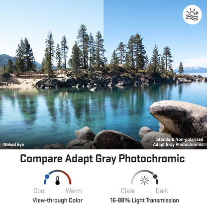 view looking through standard adapt gray photochromic replacement lenses