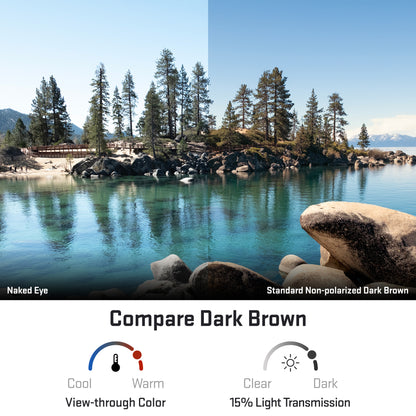 view looking through standard dark brown replacement lenses