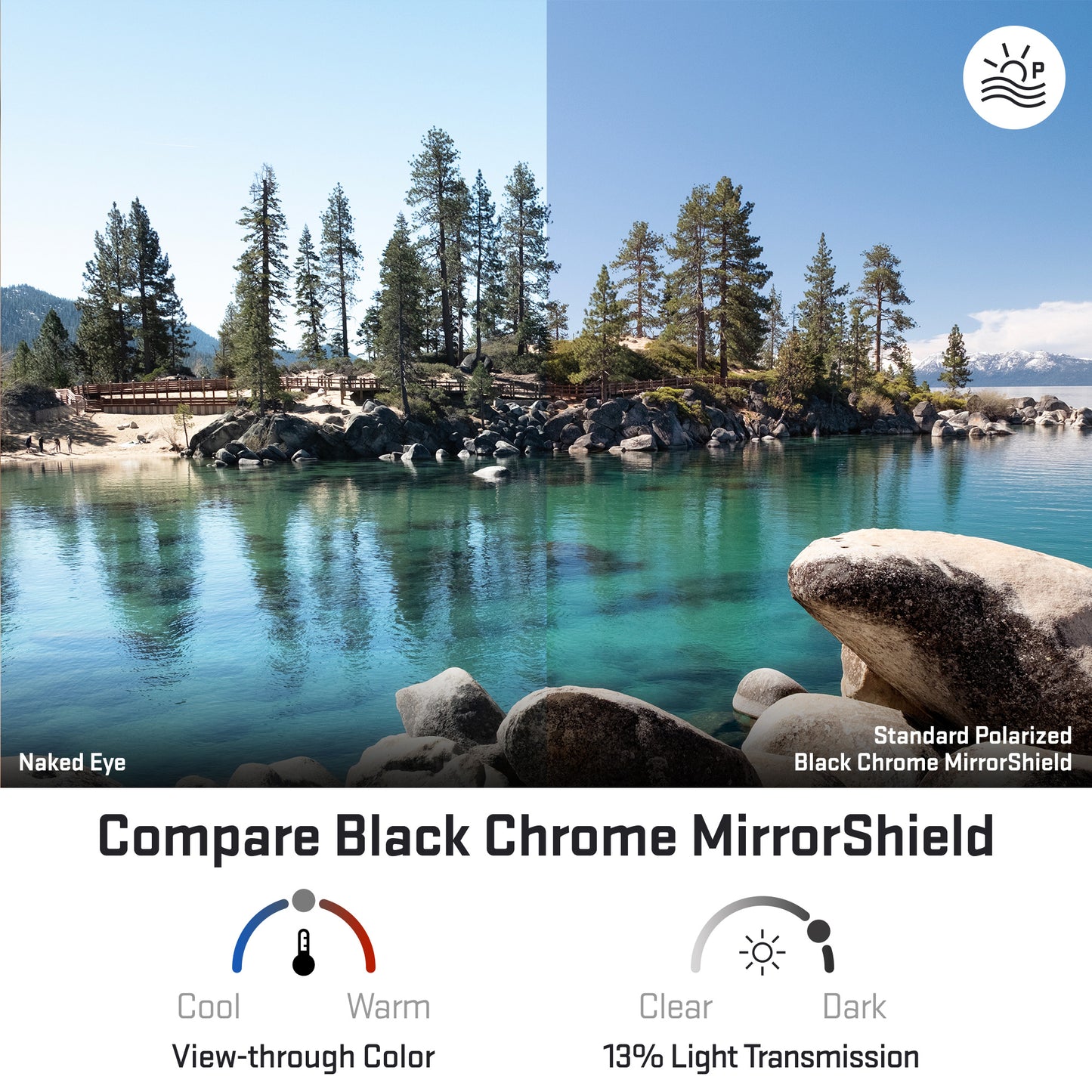 view looking through standard polarized black chrome replacement lenses