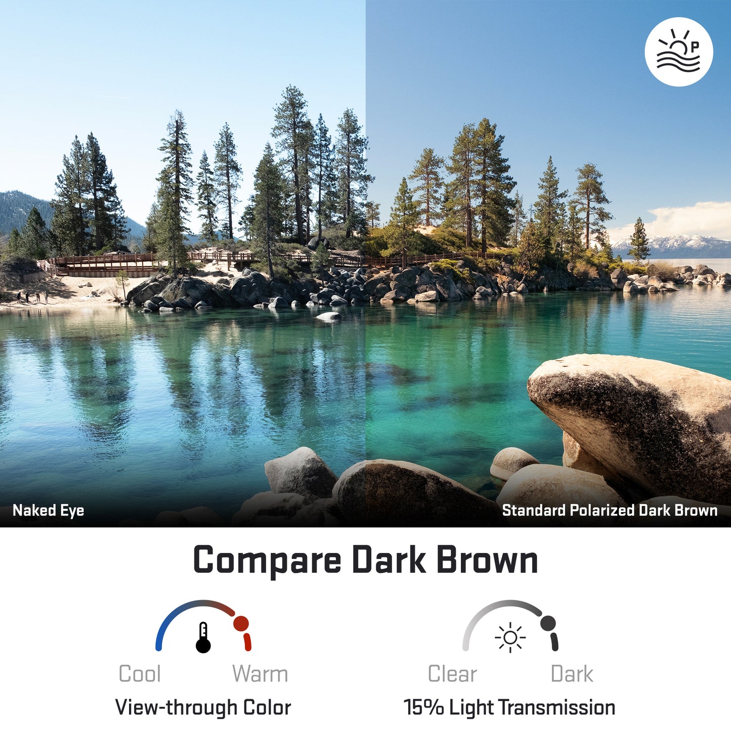 view looking through standard polarized dark brown replacement lenses