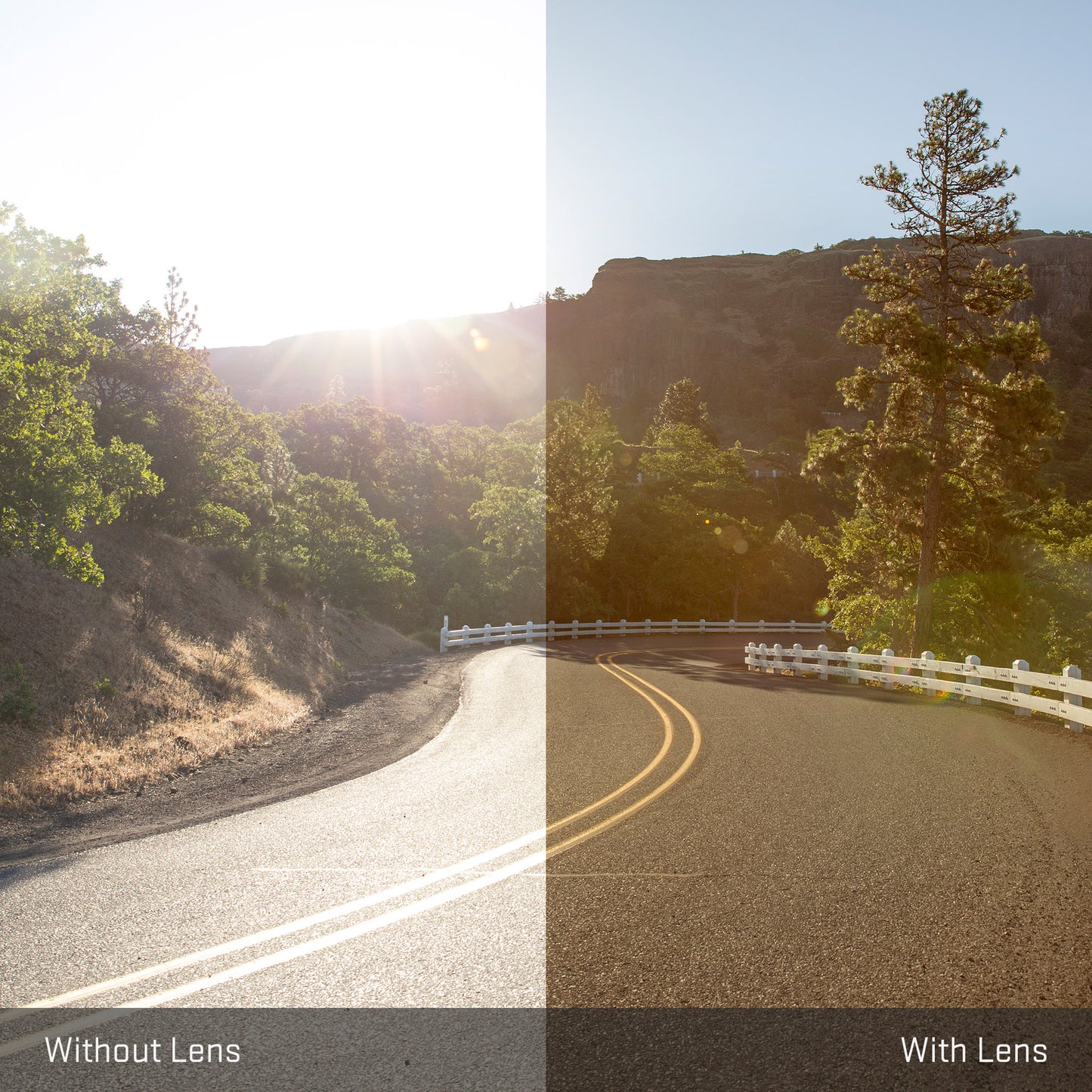 view tint looking through Elite Polarized Flash Bronze replacement lenses