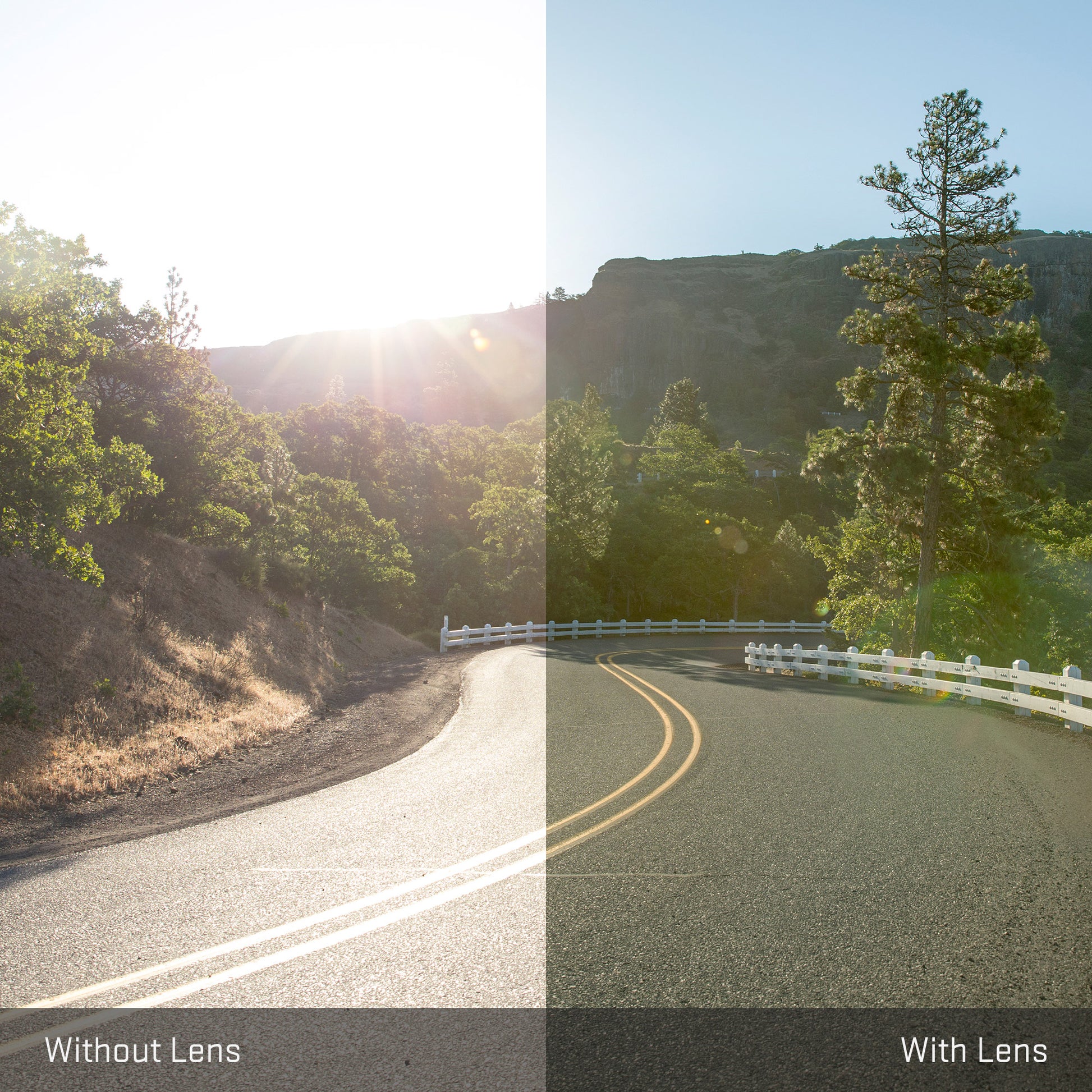 view tint looking through Elite Polarized Plasma Purple replacement lenses