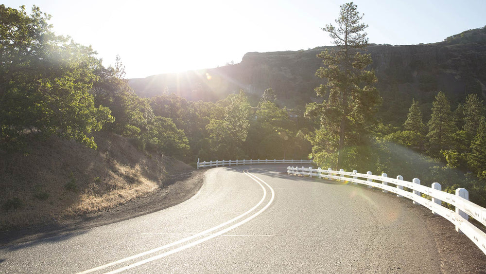 without Revant lenses